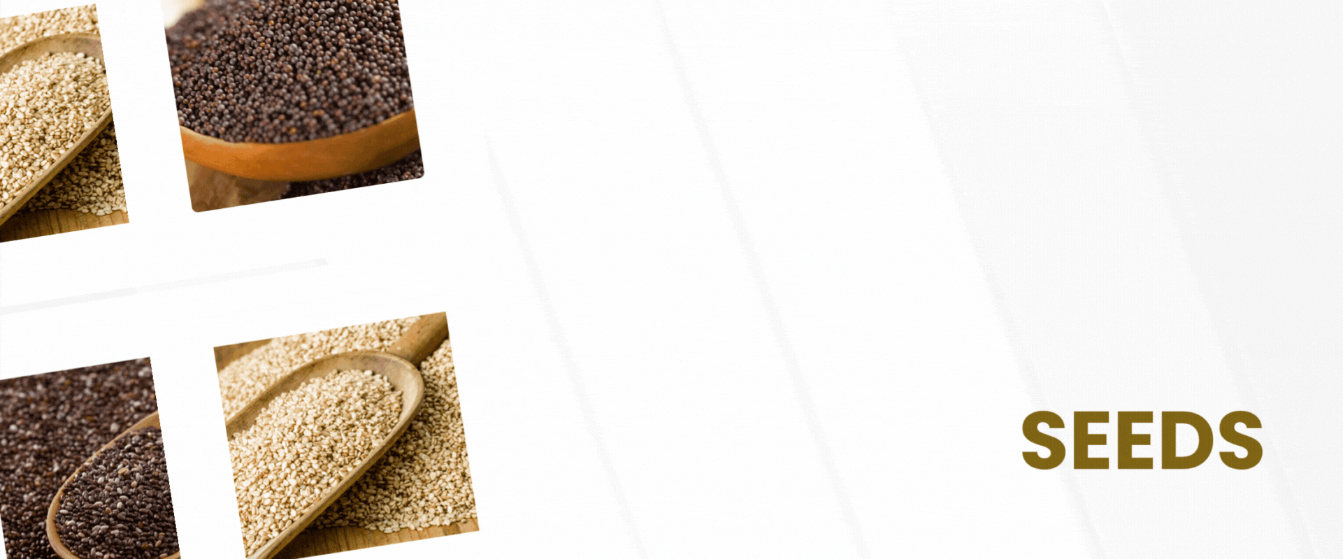 TIRUPATI BANNER NEW1